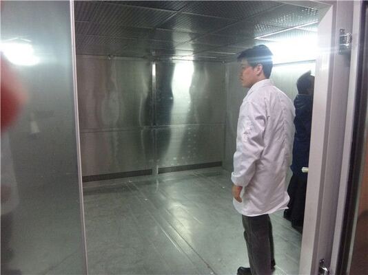 Ruang Uji Iklim Walk-In | Ruang Suhu Kelembaban Besar untuk Simulasi Lingkungan